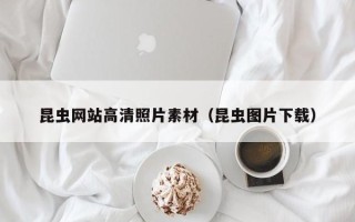 徐州昆虫网站高清照片素材（昆虫图片下载）